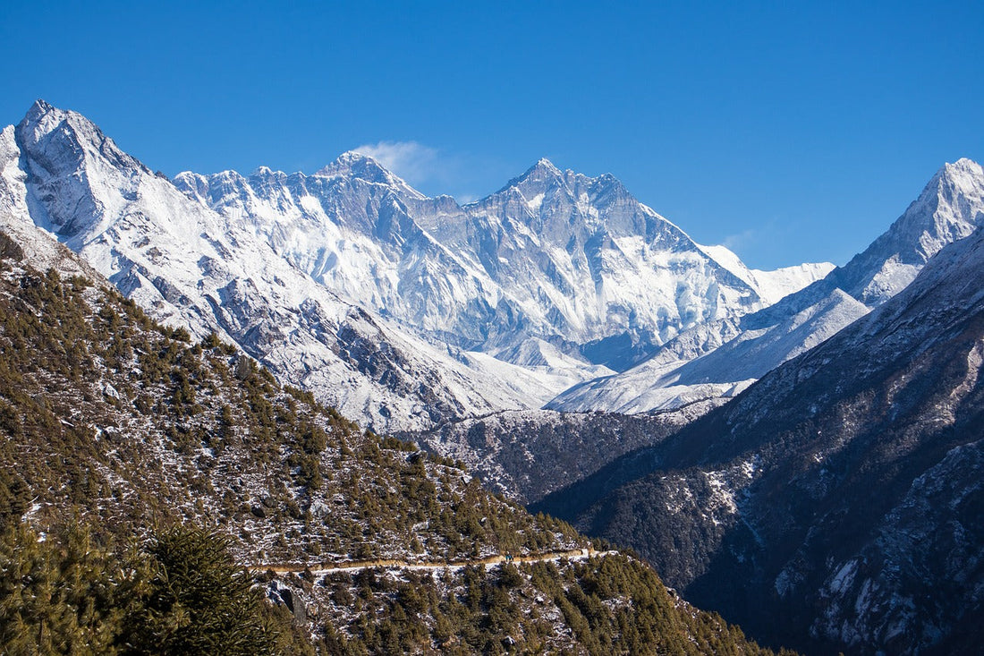 Discovering the Delights of Nepali Tea