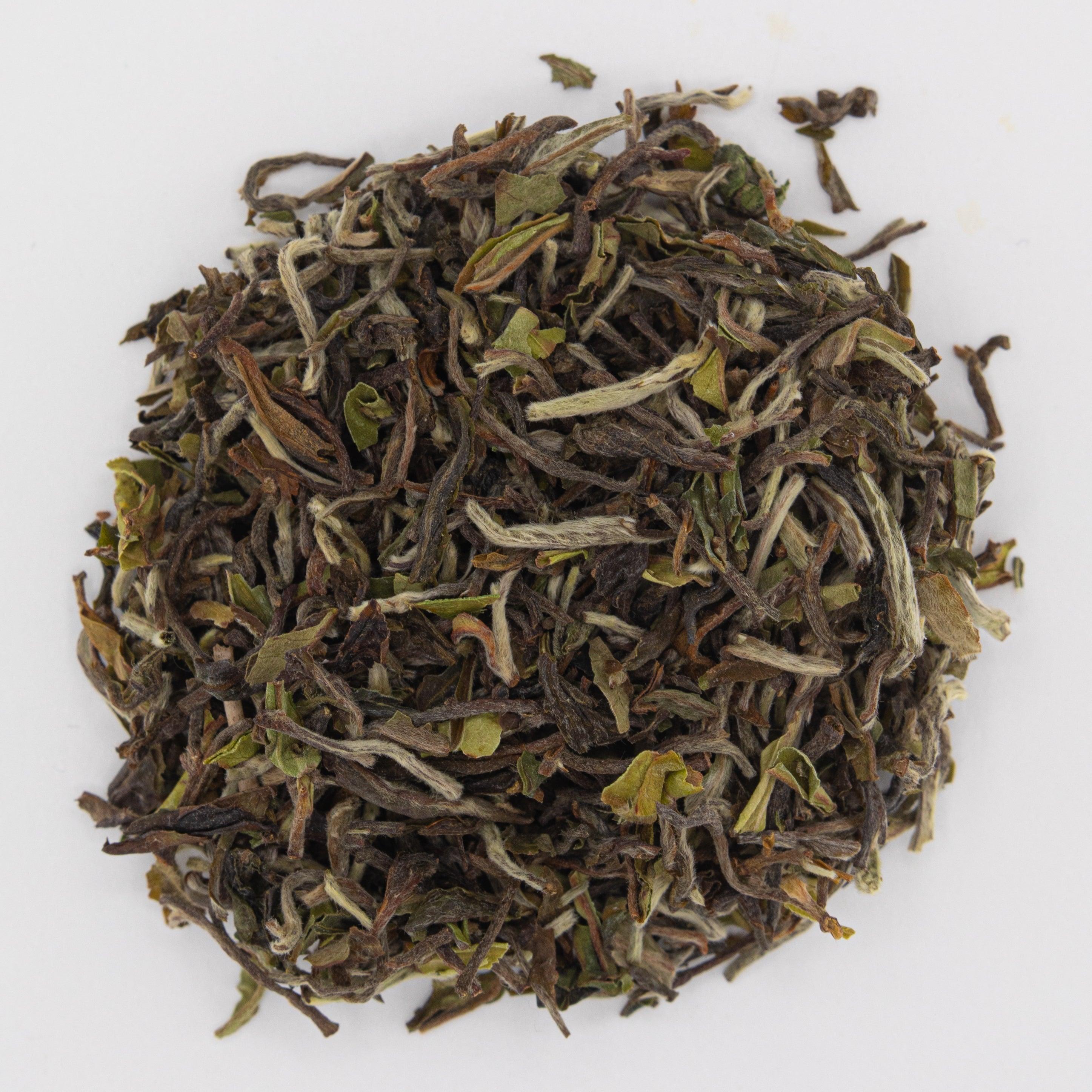 Darjeeling 1st Flush • Specialty Loose Leaf Tea • English Tealeaves